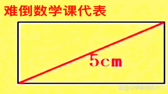 数学课代表都有点懵,语文课代表却说她来划重点?尴尬了