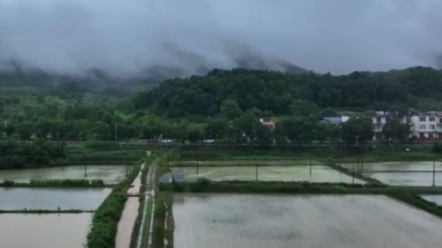 江西瑞昌:启动重大气象灾害(暴雨)Ⅲ级应急响应