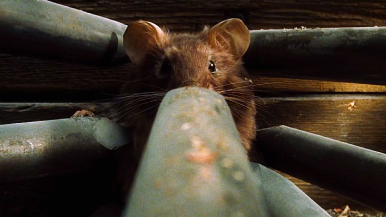 电影推荐:捕鼠记