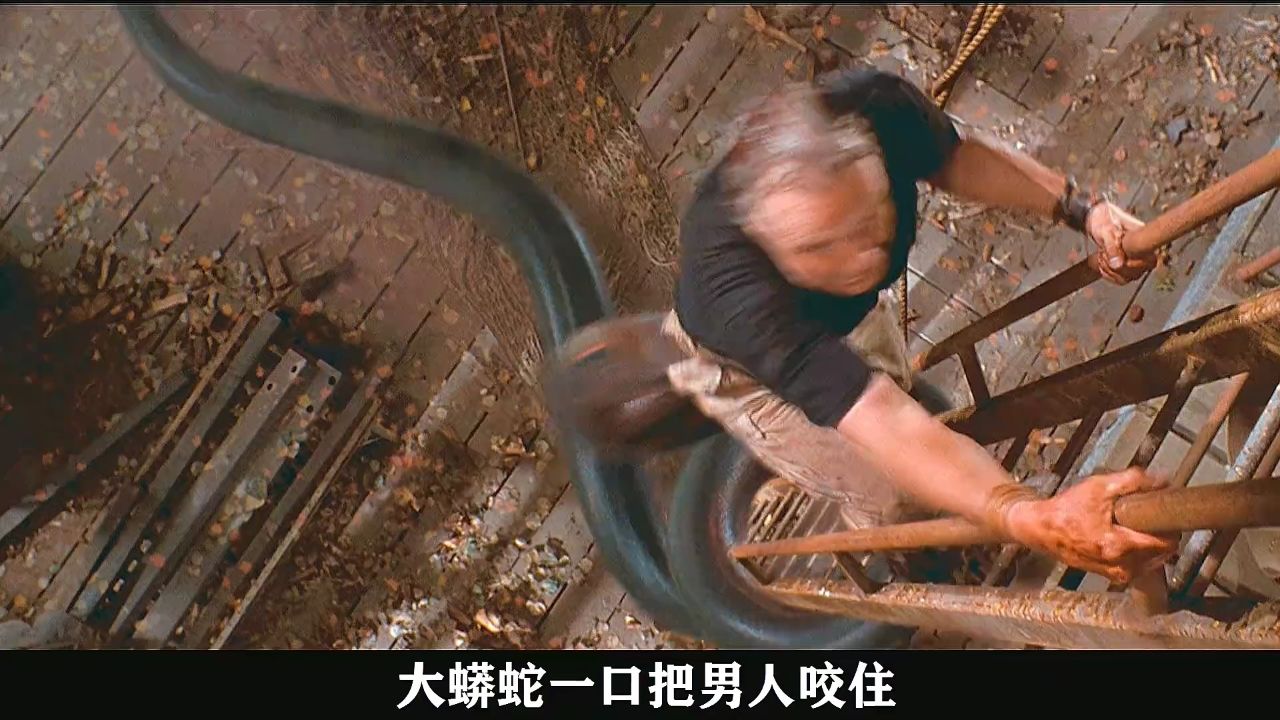 推荐一部非常不错的惊悚电影《狂蟒之灾2》
