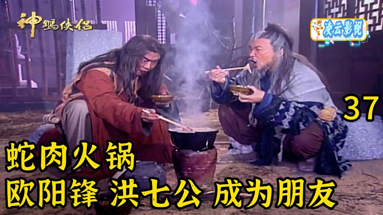 37集 一顿蛇肉火锅,洪七公和欧阳锋成为好朋友