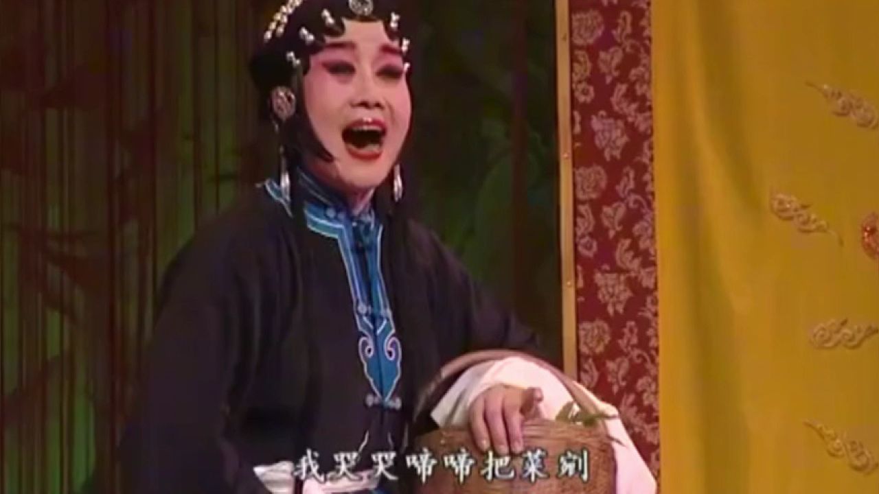 秦腔折子戏《赶坡》朱彩娥 马力