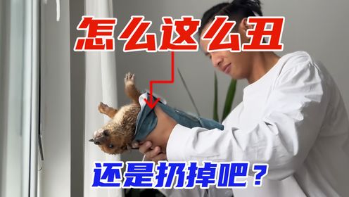 腾讯视频