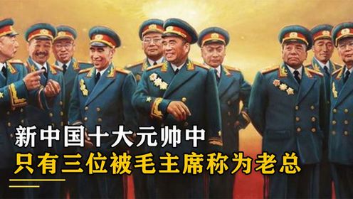 新中国十大元帅,竟只有三位被主席称为老总,他们都是谁_高清1080P在线观看平台_腾讯视频