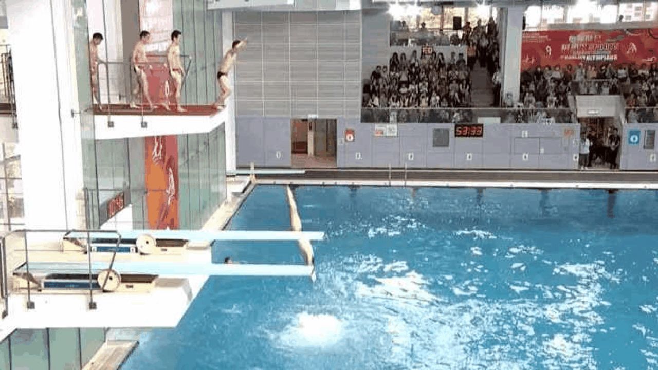 中国跳水队集体排队"下饺子"