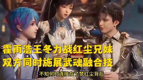斗罗大陆2绝世唐门【46】:霍雨浩王冬力战红尘兄妹,双方同时施展武魂融合技。_高清1080P在线观看平台_腾讯视频