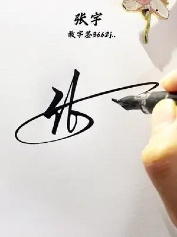张字代表什么数字