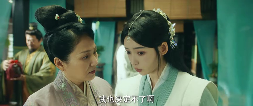 双花镜 15集