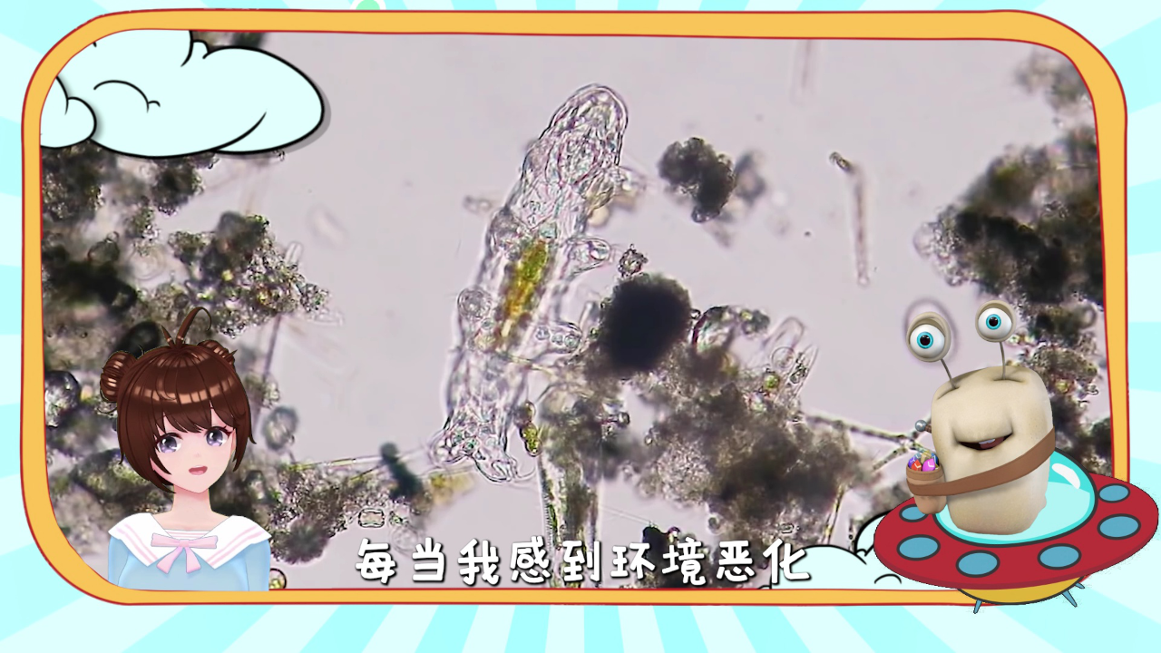 白白侠的动物朋友 14集