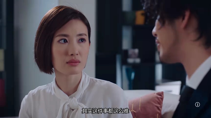 双生陌生人[粤语版] 23集