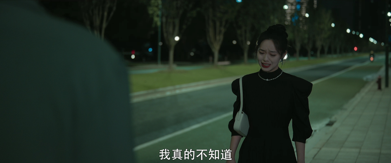 情深不悔，再爱难为 17集