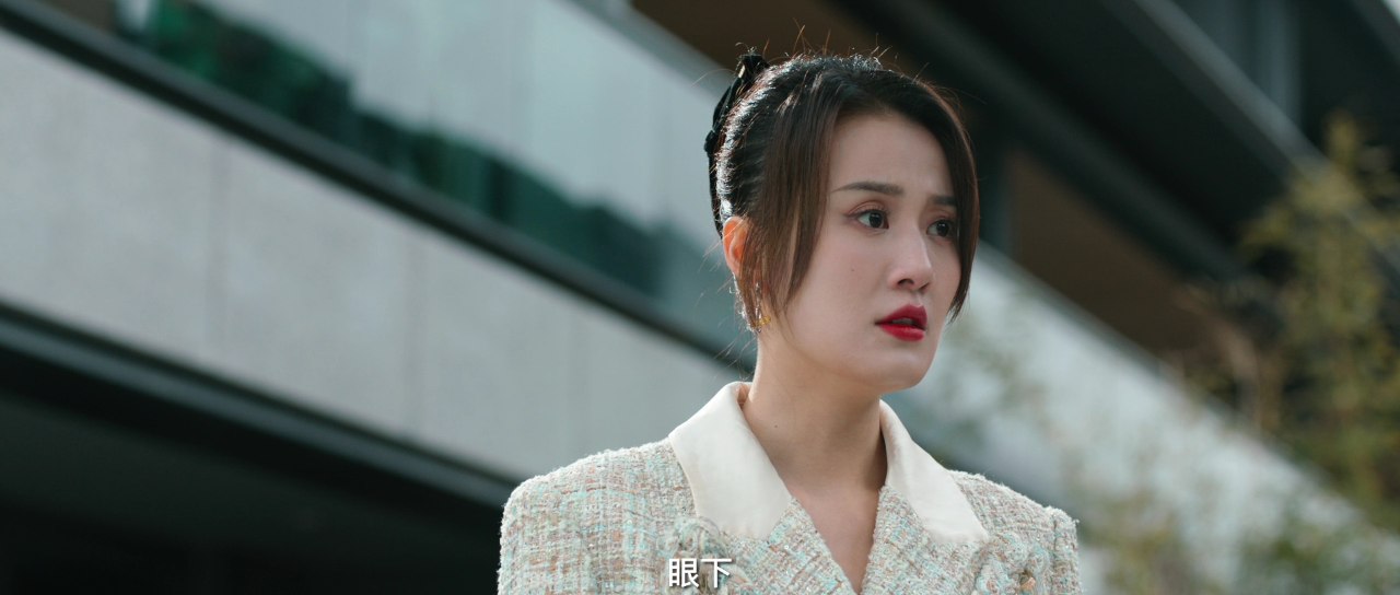 丽人归来 15集