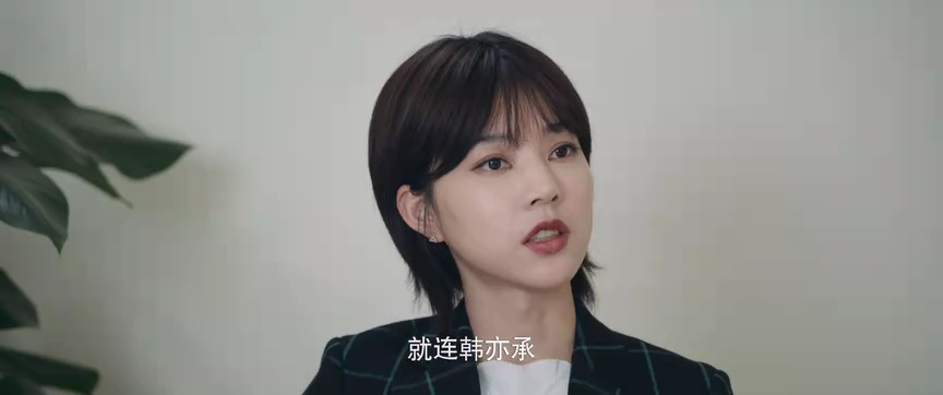 双面繁花 18集