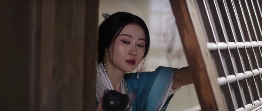 情刺 13集