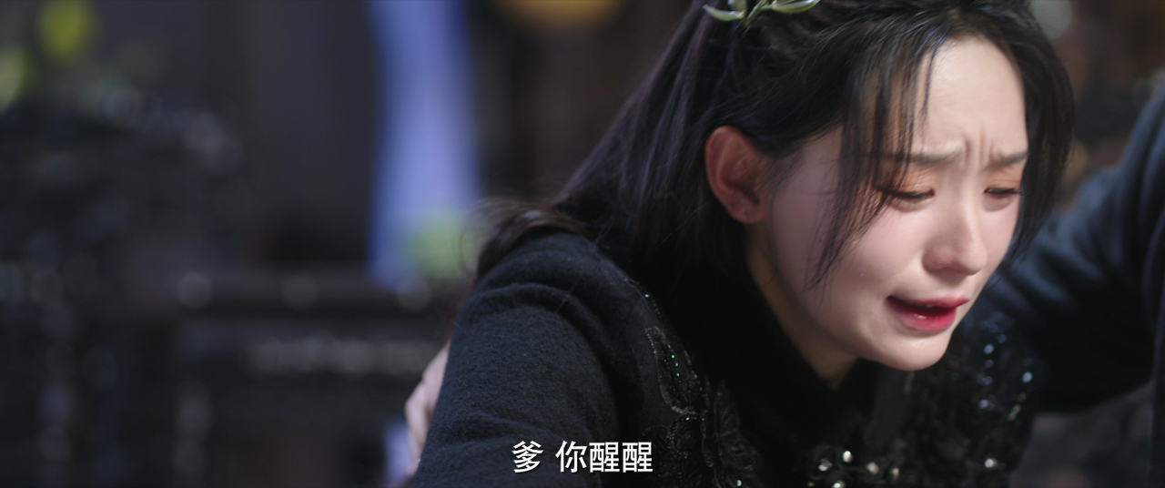 掌中雀 17集