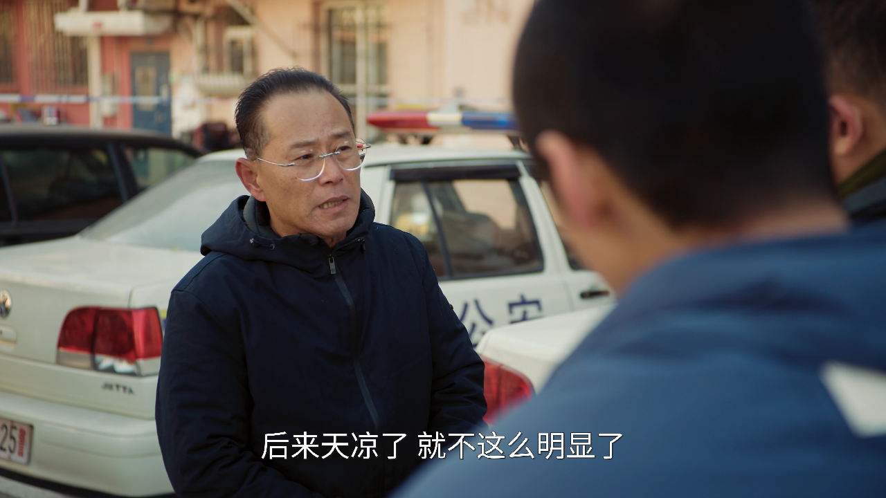 刑警的日子 17集