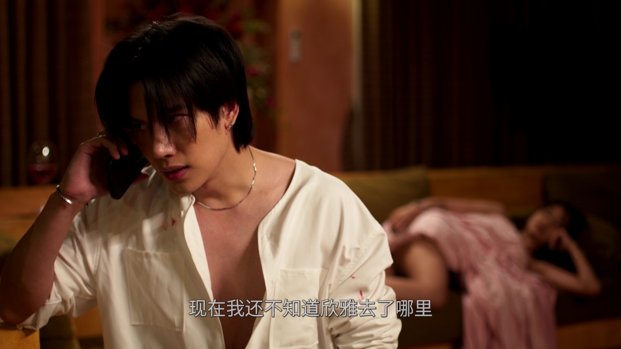 荷叶之屋[普通话版] 18集