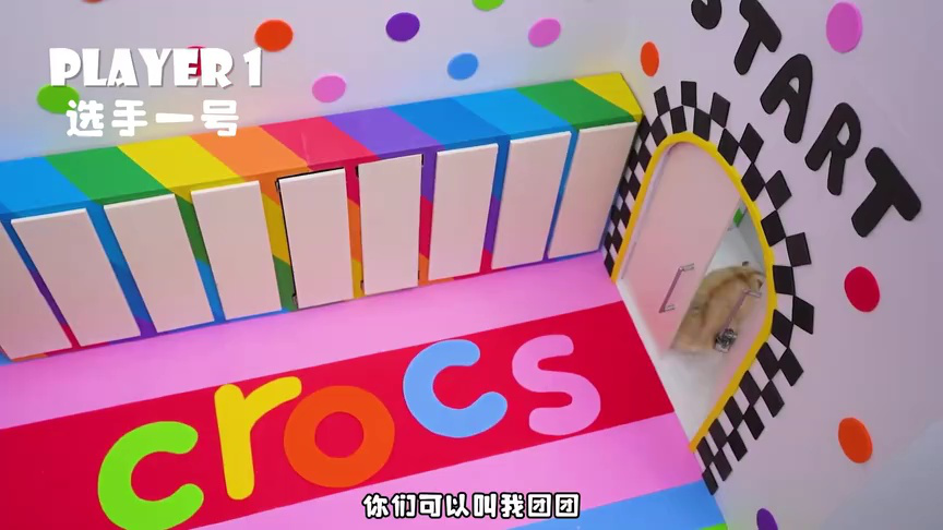 小仓鼠闯关乐园第二季 4集