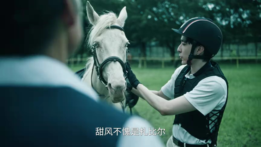 扫毒风暴 20集