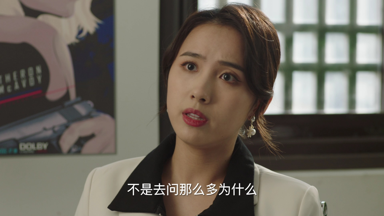 我是猎手 12集