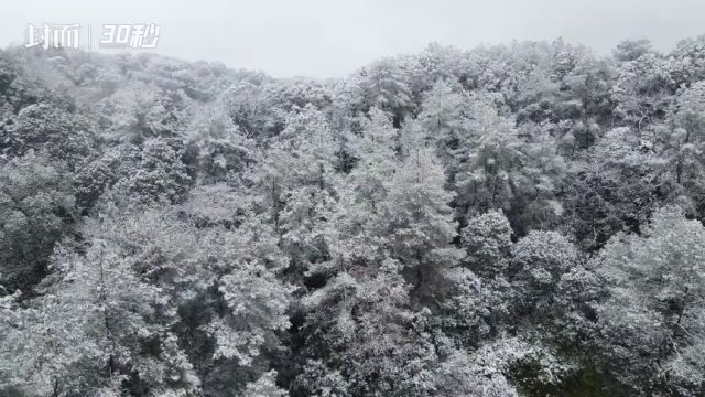 30秒丨瑞雪点缀山林 四川威远慈菇塘森林公园美翻了