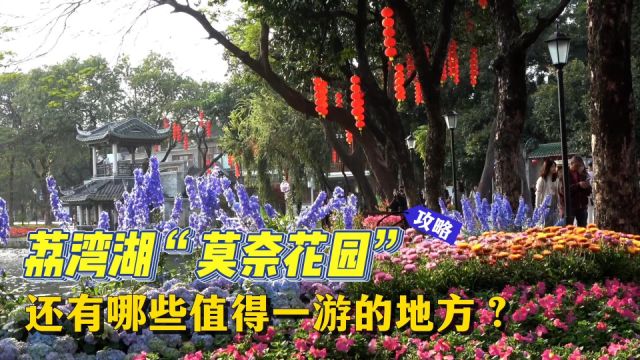 探索荔湾湖公园:除了“莫奈花园”,还有哪些值得一游的地方?