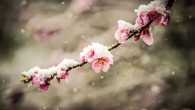 “雨水”到,春将至,而寒潮却带来雨雪冰冻,为何春季也有强降雪?