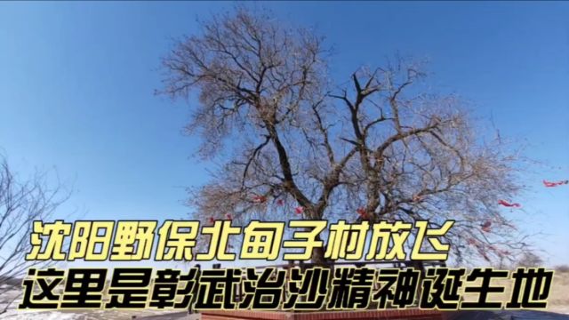 沈阳野保北甸子村春季放飞,这里是“彰武治沙精神”诞生地