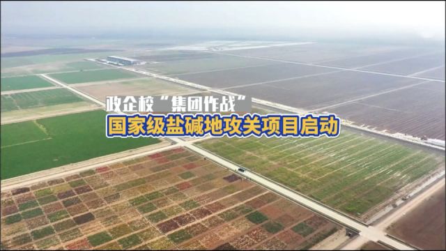 盐碱地综合利用丨政企校“集团作战” ,国家级盐碱地攻关项目在高密启动