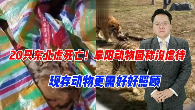 20只东北虎死亡!阜阳动物园称没虐待,现存动物更需好好照顾