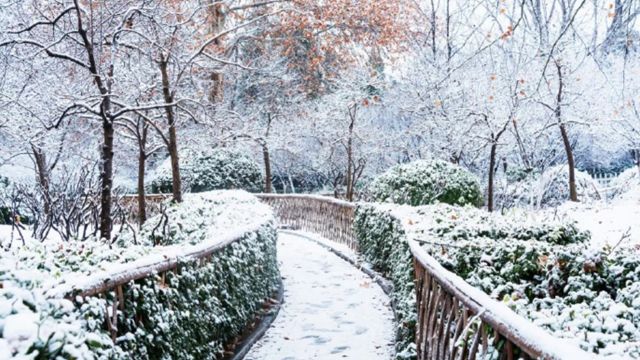 北京暴雪!雪花已进京,北京连发暴雪寒潮道路结冰三大预警