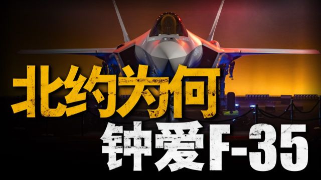 F35自诞生以来,如今销量已经超过了1000架,销路为何如此顺畅?