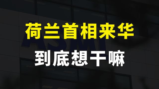 985荷兰首相吕特