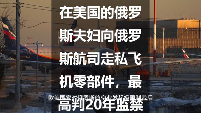 在美国的俄罗斯夫妇向俄罗斯航司走私飞机零部件,最高判20年监禁