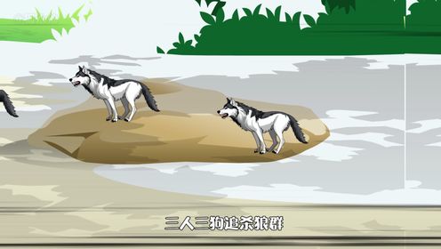 狼群造反，一狼一狈，四目相对_高清1080P在线观看平台_腾讯视频