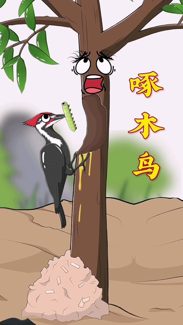 最有争议性的鸟类→啄木鸟