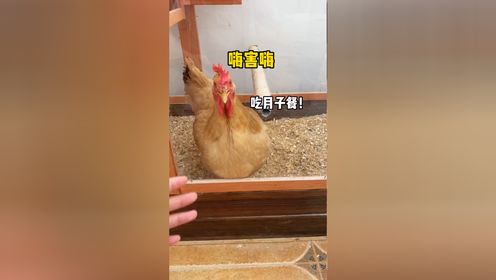 腾讯视频
