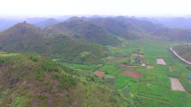 此处万马归朝,聚天地之气,一个独一无二的宝地