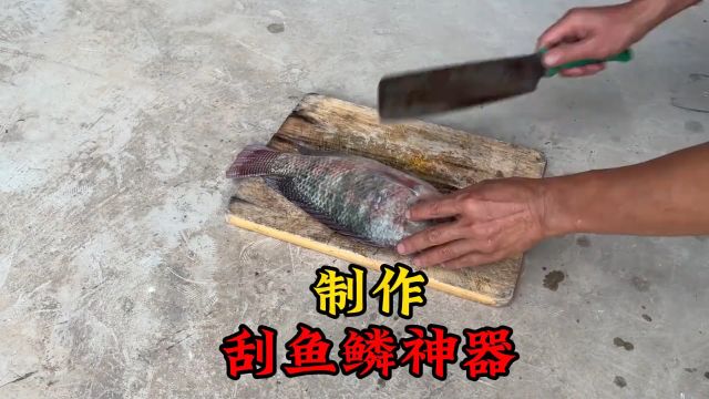 怎么快速刮鱼鳞 小伙制作了一个电动刮鱼鳞神器