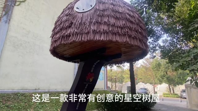 这样的可移动的蘑菇星空树屋民宿,你见过吗?来一探究竟吧!