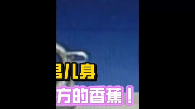 小树林藏污纳垢,“失足女”竟是男儿身,被抓时还握着对方的香蕉#纪实故事#真实事件#社会 3