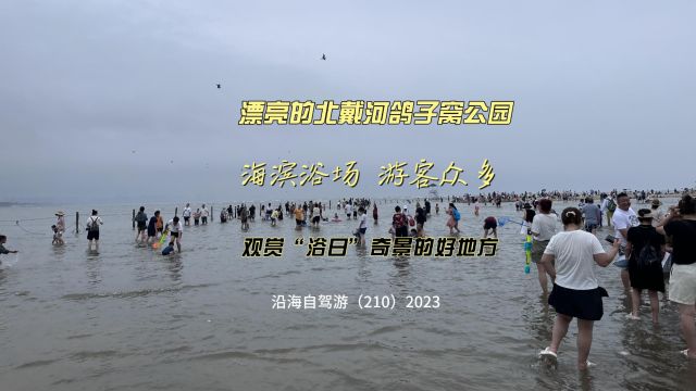 百日自驾三(210)北戴河鸽子窝海滨公园,游客众多,是观赏“红日浴海”奇景的好地方