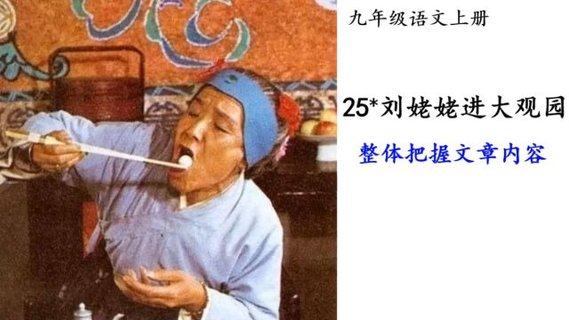 《刘姥姥进大观园》整体把握文章内容