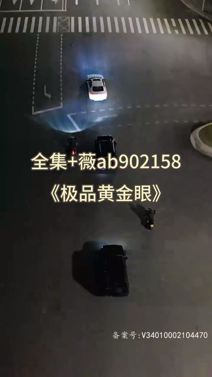 极品黄金眼（80集）【已完结】_高清