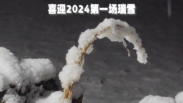 喜迎2024第一场瑞雪