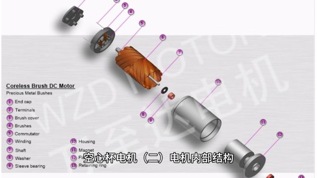 空心杯电机(二)电机内部结构