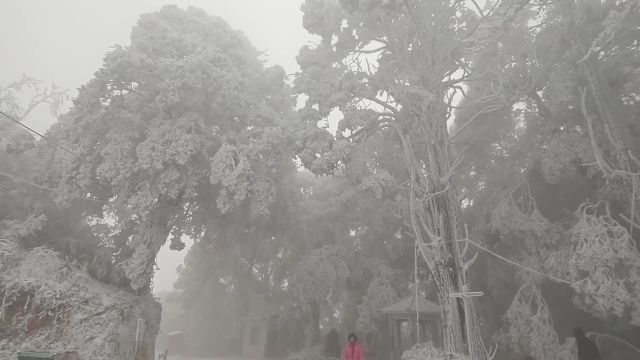 闽清降雪已停,但“雪景”仍在 →