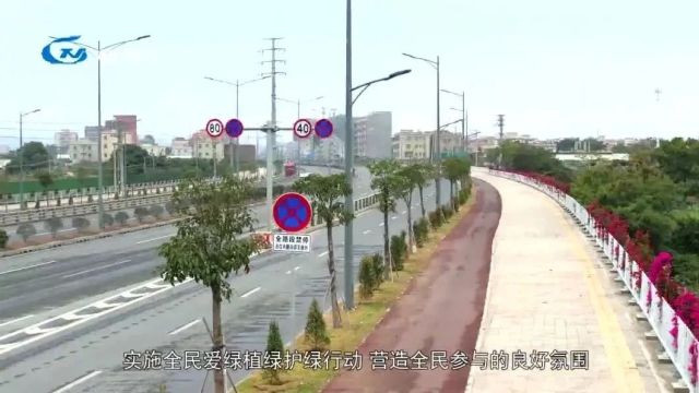 【聚焦“百县千镇万村高质量发展工程”】推进主要道路绿化美化提升工作 助力绿美潮南生态建设