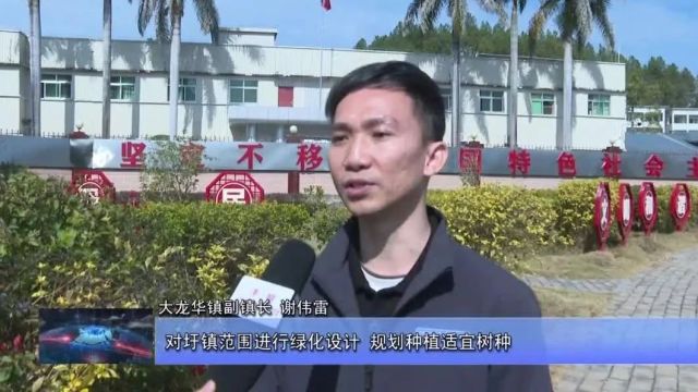 丰顺大龙华镇:推进绿美生态建设 擦亮人居环境生态底色