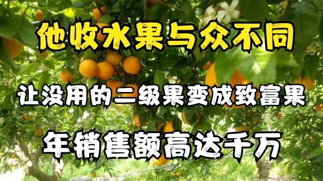 他收水果与众不同,让没用的二级果变成致富果,年销售额高达千万